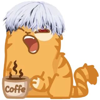 😼