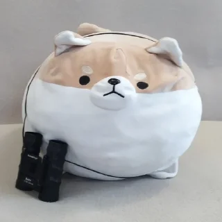 👀