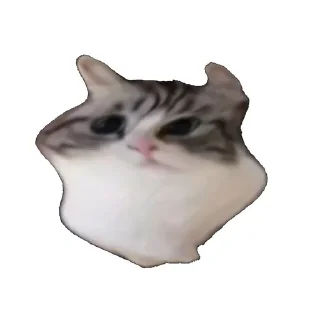 🗞