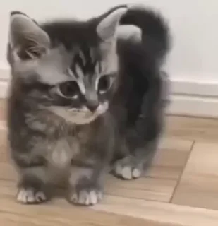 😕