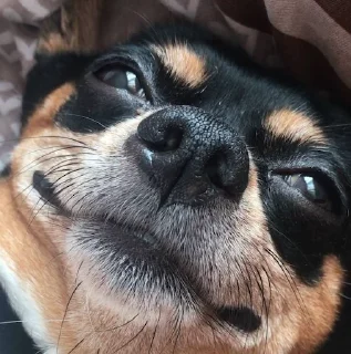 ☺️