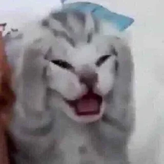 😱