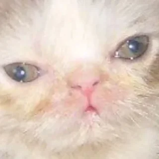 😉