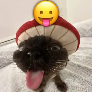 😛