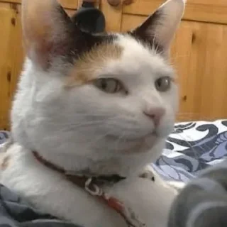 🤯