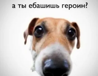 🧐