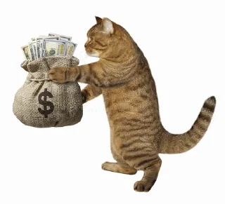 💰