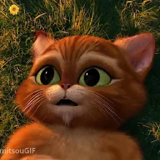 😸