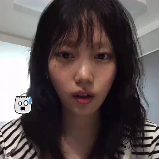🦨