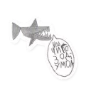 🦈