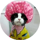 🐱