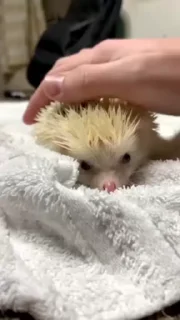 ☺