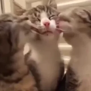 ❤️