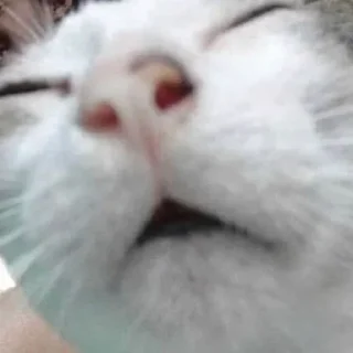 😴