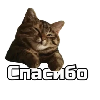 🙂