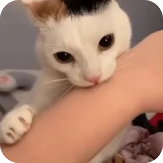😦