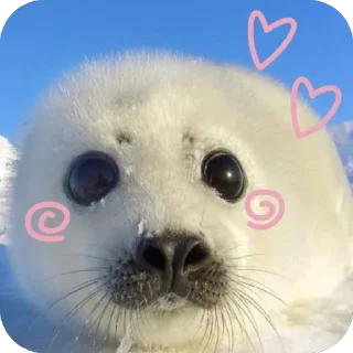 ❤