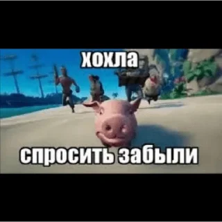 🐷