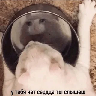 😭