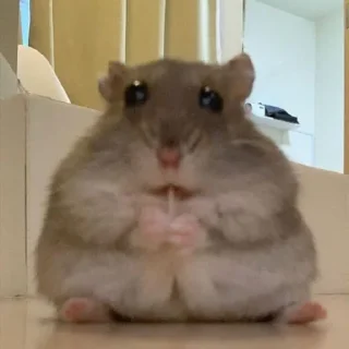 😮