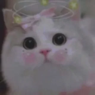 💗