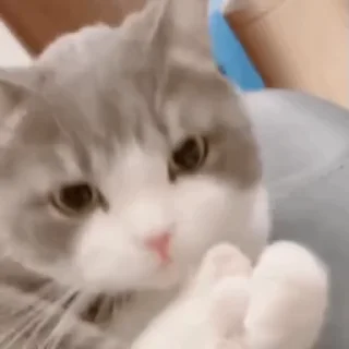 😛