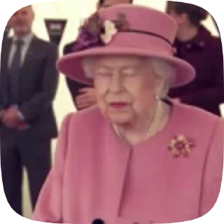 👑