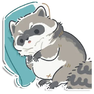 🦝