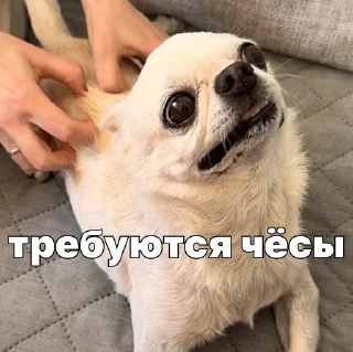 🙂