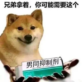 💊
