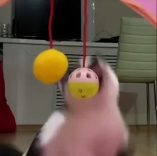 🍒
