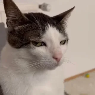 🙄