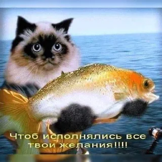 😊