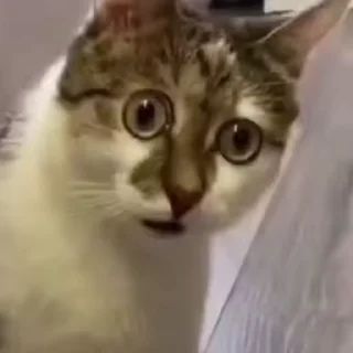 😳