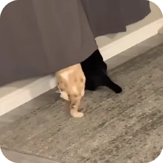 🥰