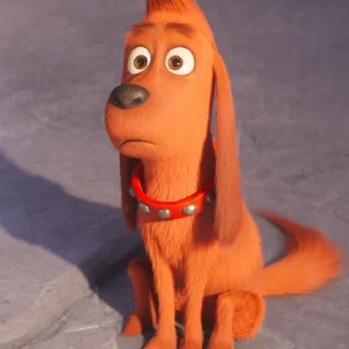 🐶