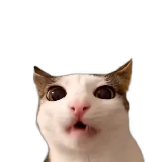 😋