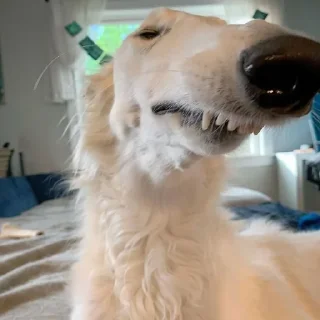 😀