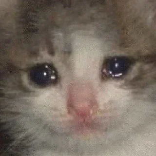 😭