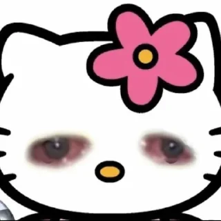 😿