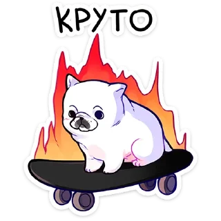 🛹