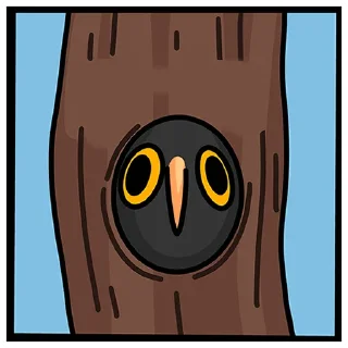 🦉