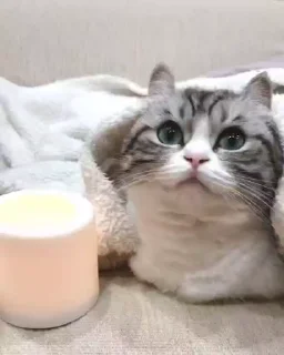 🕯