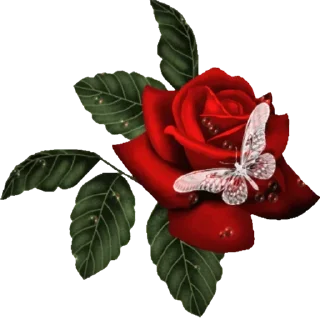❤S̃̾À́Ñ̾D̃̾Ỹ̾❤