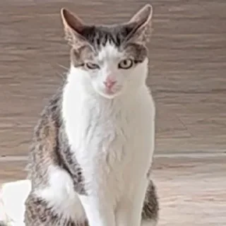 🧐