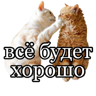 💖