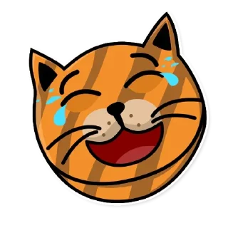 🙀