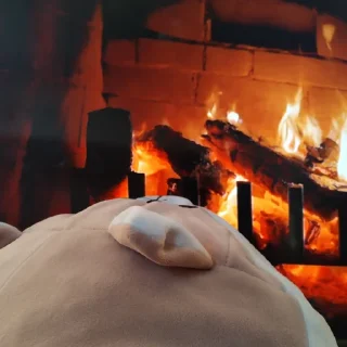 🏠