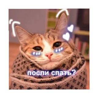 😴