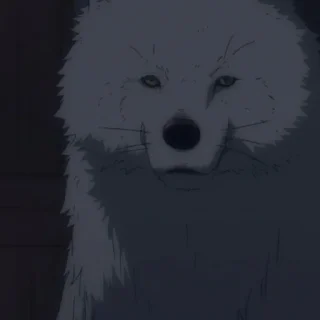 🐺